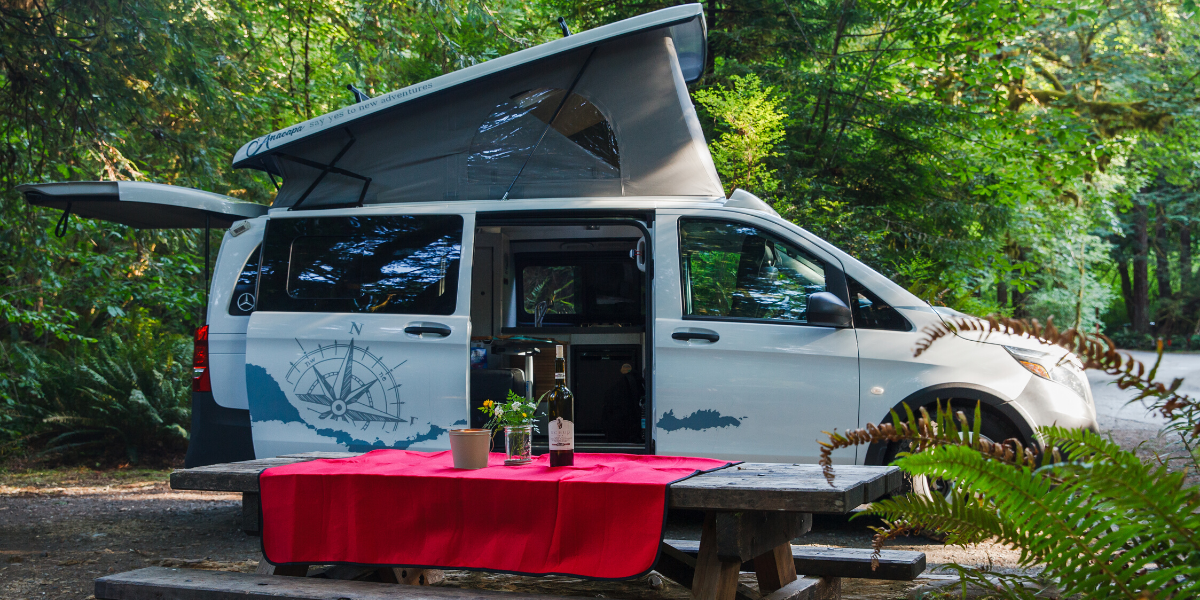 camper van in redwoods