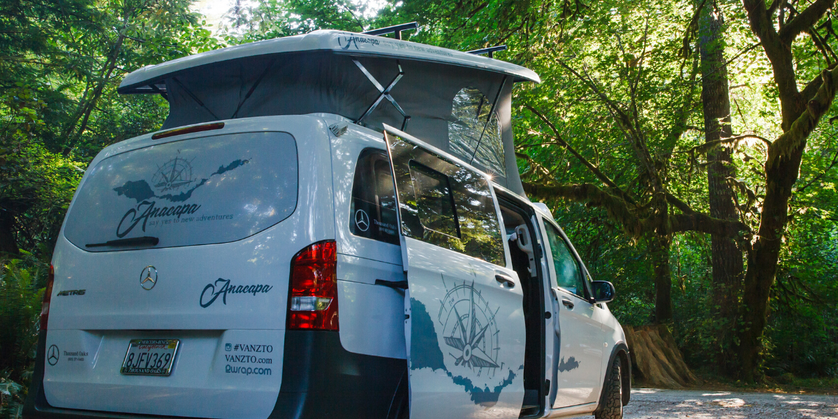 camper van in the redwoods