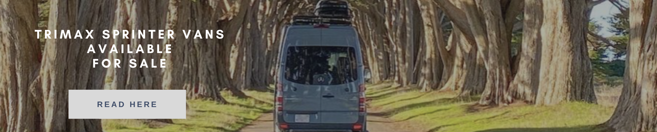 Sprinter Van driving between trees 